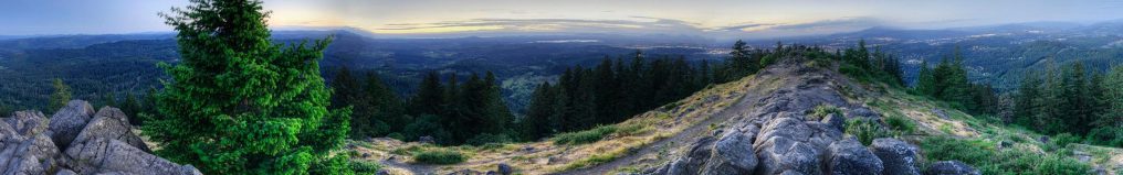 Oregon Cannabis Insurance